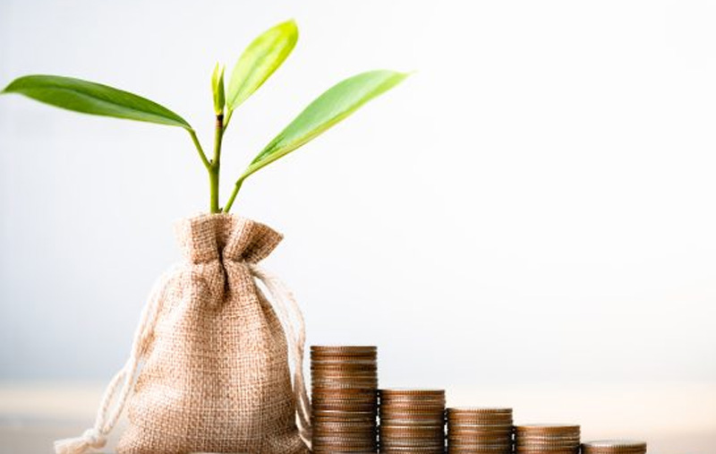 Chứng khoán có thu nhập cố định (Fixed income securities) là gì?