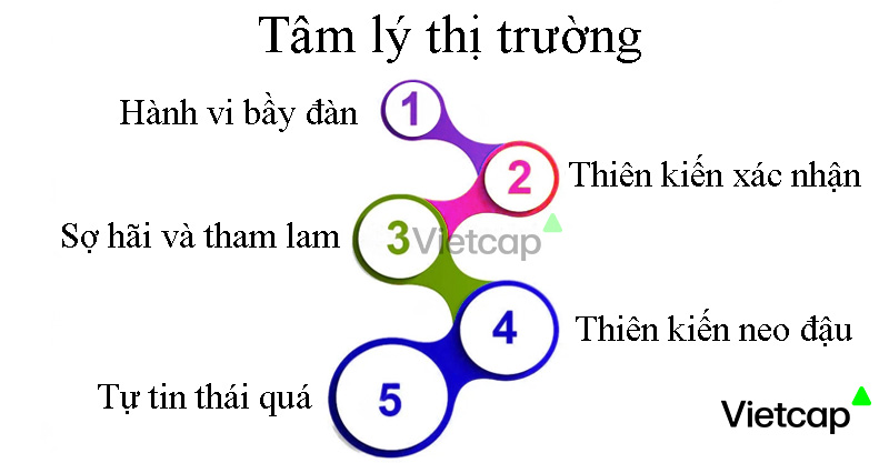 Tâm lý thị trường là gì? Một số chỉ số tâm lý thị trường thông dụng