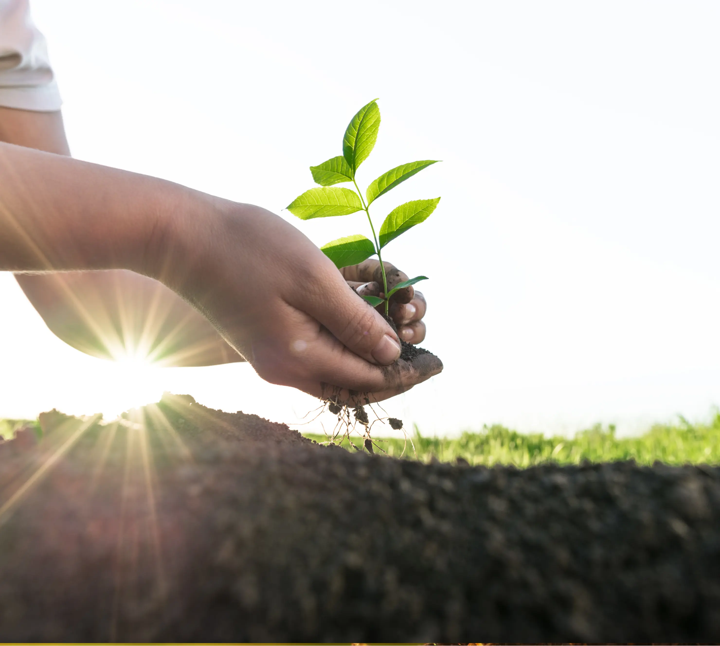 Investment Product Banner Image