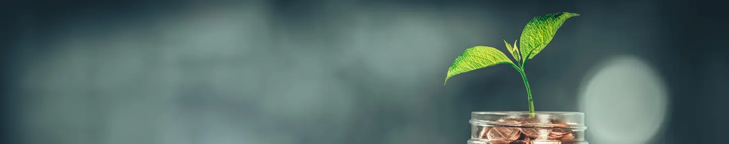 Investment Product Banner Image